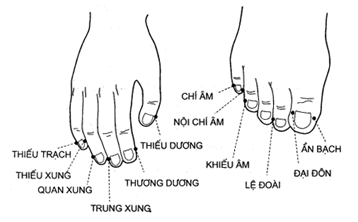 Vị trí đo